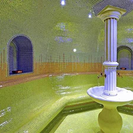 Ξενοδοχείο Grifid Vistamar