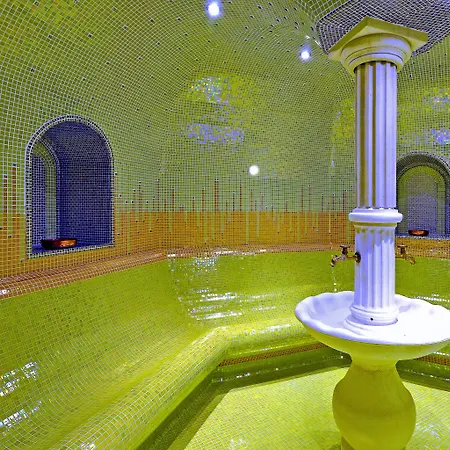 Grifid Vistamar 4* Золоті Піски