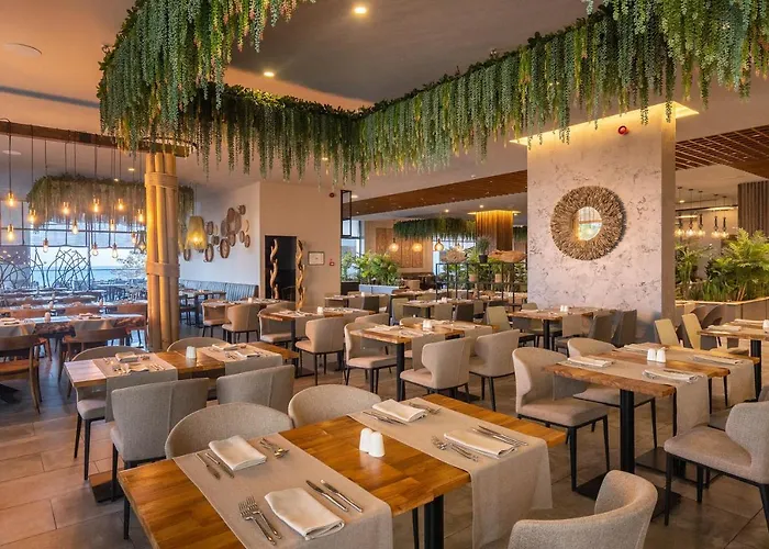 Grifid Vistamar Отель